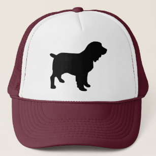 boykin spaniel hat
