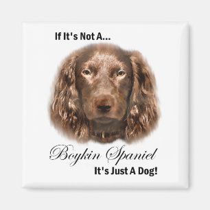 Boykin Spaniel Gifts Magnet