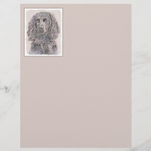Boykin Spaniel Painting - Cute Original Dog Art (Front)