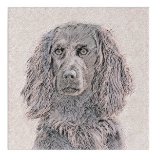 Boykin Spaniel Painting - Cute Original Dog Art
