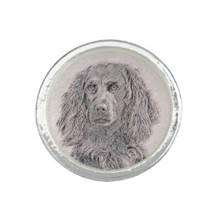 Boykin Spaniel Painting - Cute Original Dog Art Ring