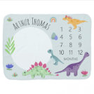 Boys Cute Blue T-Rex Dinosaur & Name Milestone Baby Blanket Boys Cute Blue T-Rex Dinosaur & Name Milestone Baby Blanket