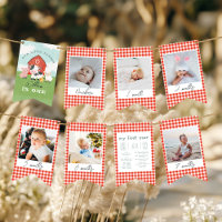 Boys Cute Farm 1st Birthday Milestone Photo