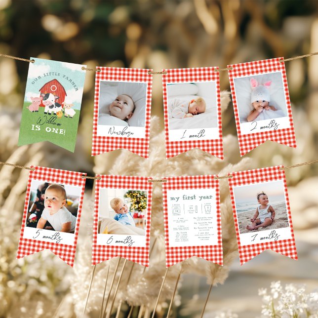 Boys Cute Farm 1st Birthday Milestone Photo Bunting Flags (Creator Uploaded)
