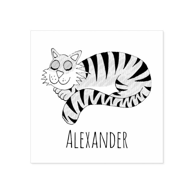 Boys Cute Jungle Tiger School Bookplate Rubber Stamp (Imprint)