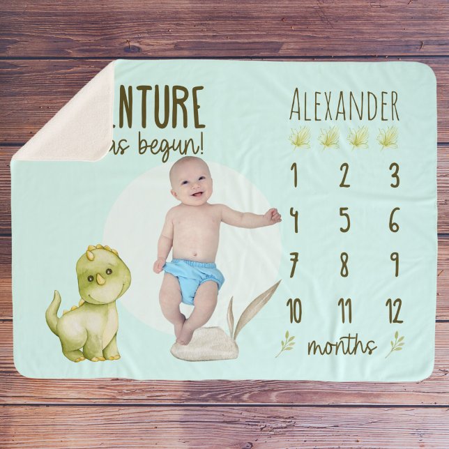 Boy's Cute T Rex Dinosaur Baby Milestone Sherpa Blanket (Creator Uploaded)