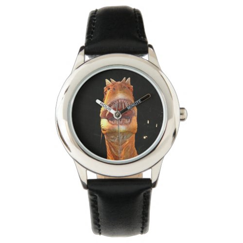 Boys dinosaur watch