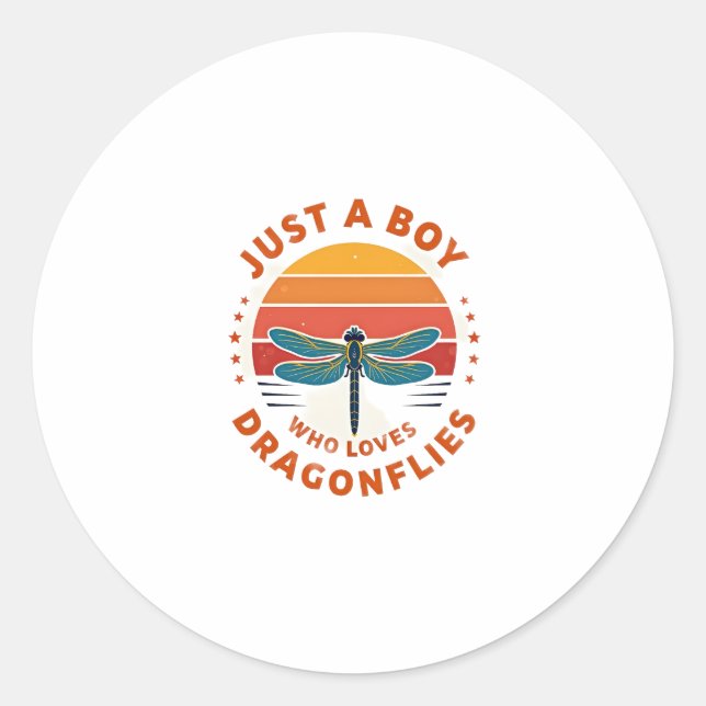 Boys Dragonfly Classic Round Sticker (Front)