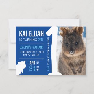 Boys First Birthday Blue Quokka Australia Photo