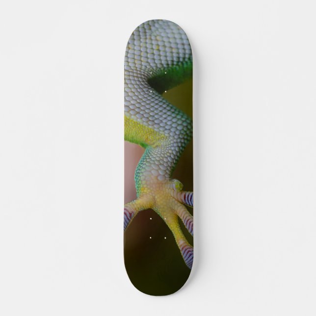 Boy's Gecko Skateboard Deck (Front)