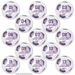 boys girls set of 13 purple white soccer team sticker