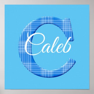 Boys Name Custom Plaid Letter C Poster