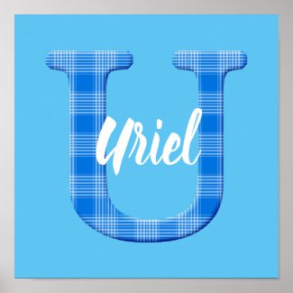 Boys Name Custom Plaid Letter U Poster