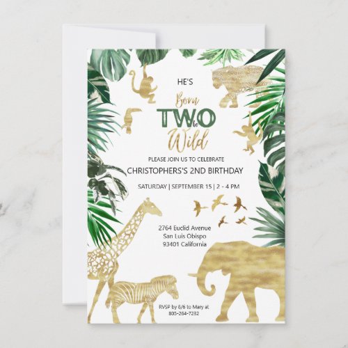 Boys Safari Two Wild Birthday Invitation