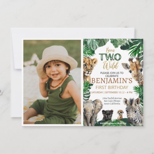 Boys Safari Two Wild Birthday Invitation