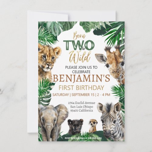 Boys Safari Two Wild Birthday Invitation