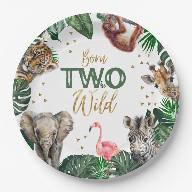 Boys Safari Two Wild Birthday Paper Plates (Front)