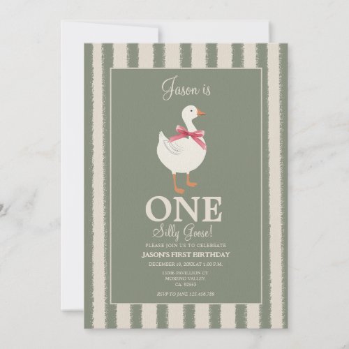 Boys Silly Goose Themed Birthday Invite