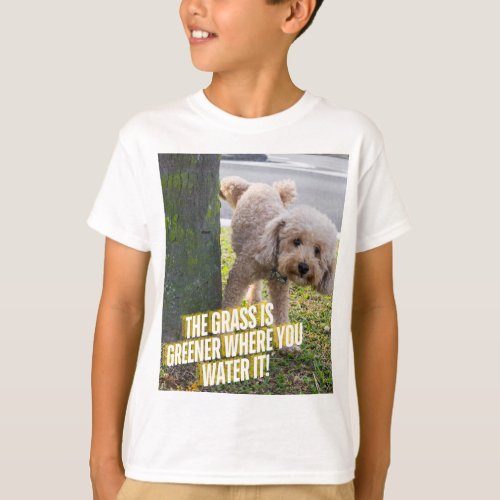 Boys T_shirt