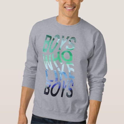 boys who like boys  sweatshirt