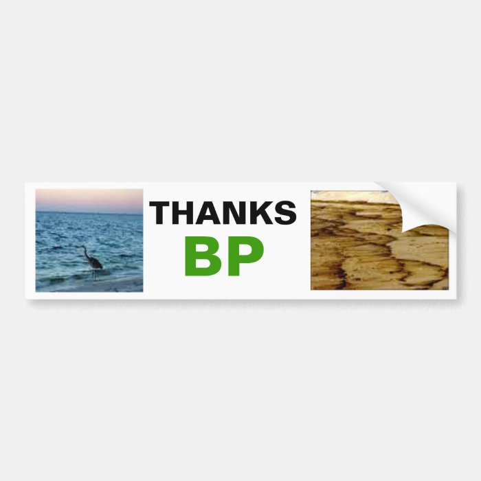 BP OIL SPILL BEFORE AND AFTER BUMPER STICKER