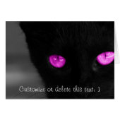 BPUR Black Cat Purple Eyes (Front Horizontal)