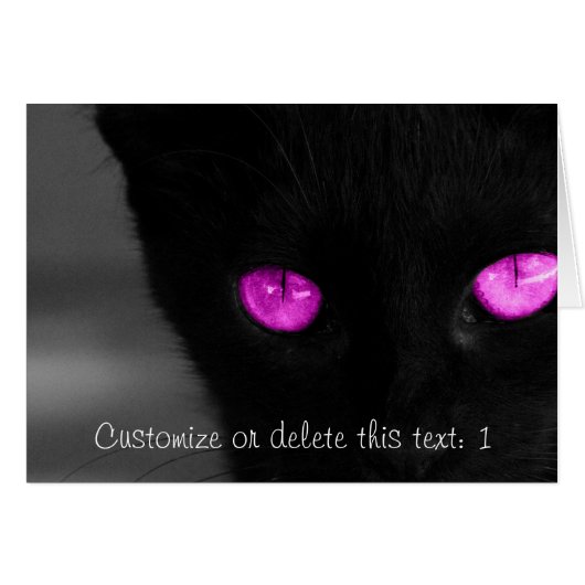 BPUR Black Cat Purple Eyes Cards (Front Horizontal)