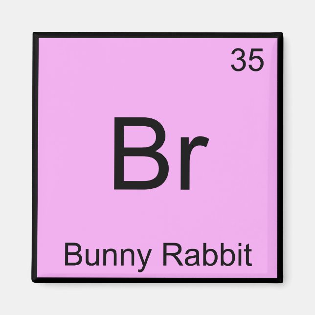 Br - Bunny Rabbit Funny Chemistry Element Symbol T Magnet (Front)