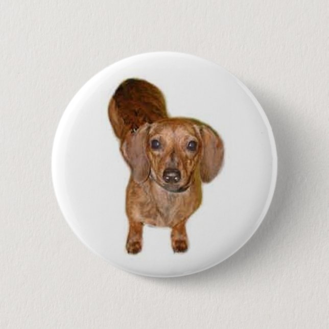 br.dachshund pinback button (Front)