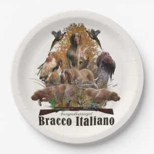 Bracco italiano sherpa blanket paper plates