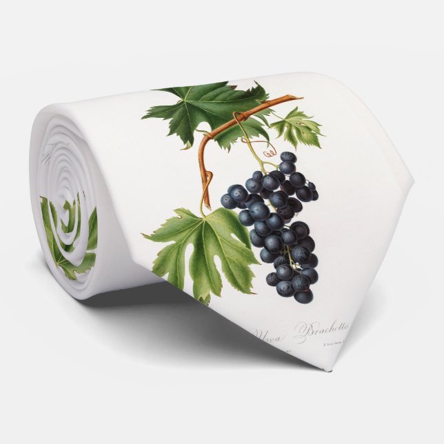 Brachetto grape by Giorgio Gallesio Neck Tie (Rolled)