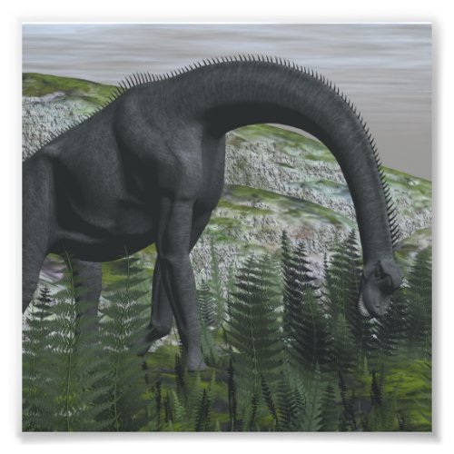 Brachiosaurus dinosaur eating fern _ 3D render Photo Print