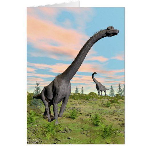 Brachiosaurus dinosaurs - 3D render Cards (Front)