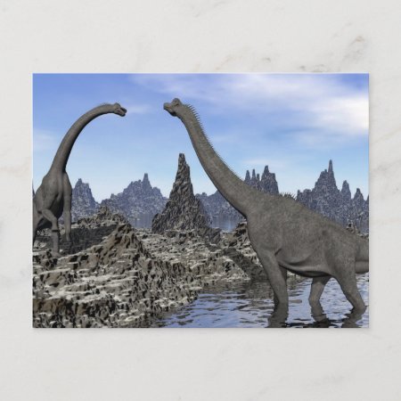 Brachiosaurus Dinosaurs - 3d Render Postcard