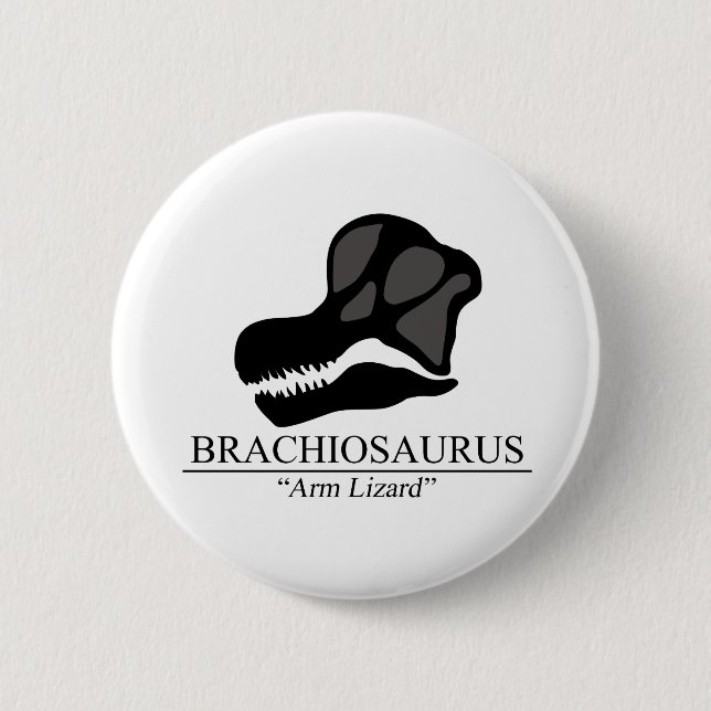 Brachiosaurus Skull Pinback Button (Front)