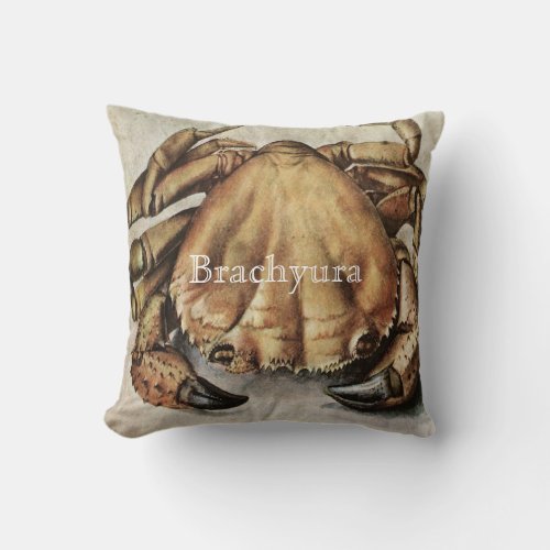 Brachyura Vintage Crab Illustration Throw Pillow