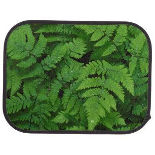 Bracken fern with rain drops, Washington State Car Mat