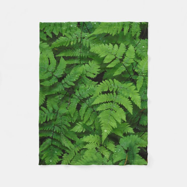 Bracken fern with rain drops, Washington State Fleece Blanket (Front)