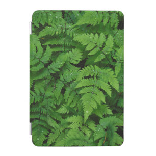 Bracken fern with rain drops, Washington State iPad Mini Cover