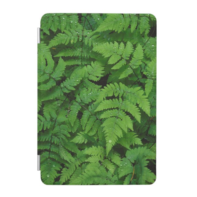 Bracken fern with rain drops, Washington State iPad Mini Cover (Front)