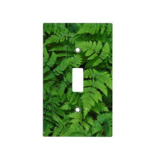 Bracken fern with rain drops, Washington State Light Switch Cover