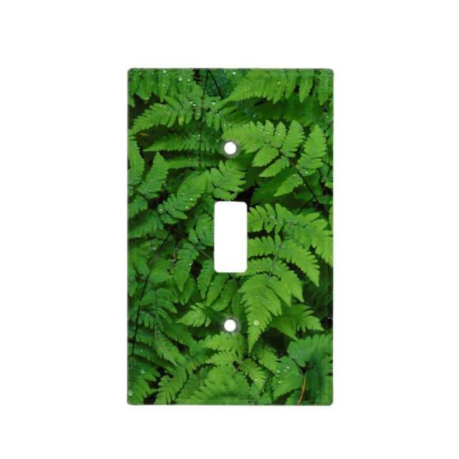 Bracken fern with rain drops, Washington State Light Switch Cover (Front)