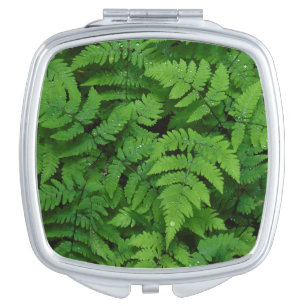 Bracken fern with rain drops, Washington State Mirror For Makeup