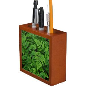 Bracken fern with rain drops, Washington State Pencil/Pen Holder