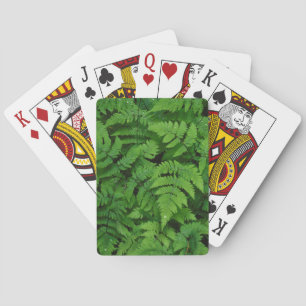 Bracken fern with rain drops, Washington State Poker Cards