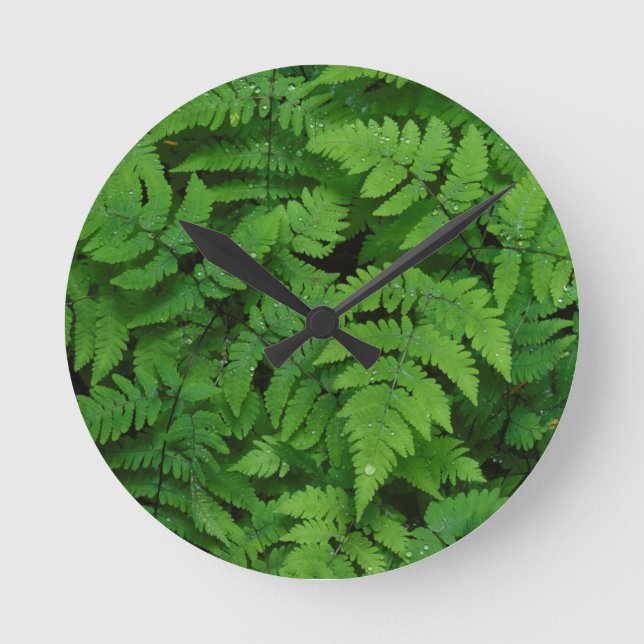 Bracken fern with rain drops, Washington State Round Clock (Front)