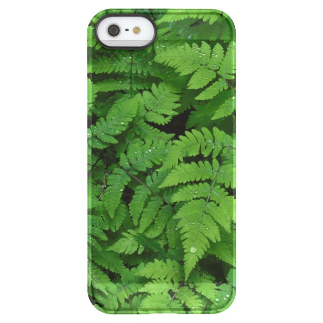 Bracken fern with rain drops, Washington State Uncommon iPhone Case (Back)
