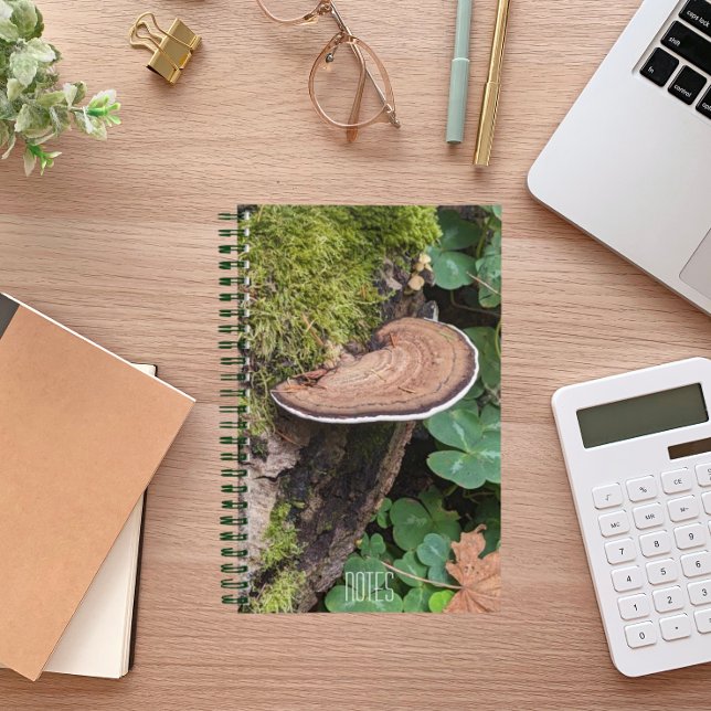 Bracket Fungus Nature Photo Notebook (In Situ)
