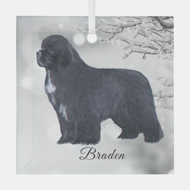 Braden Newf for Carol Glass Ornament (Front)