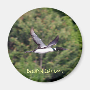 Bradford Lake Loon Magnet